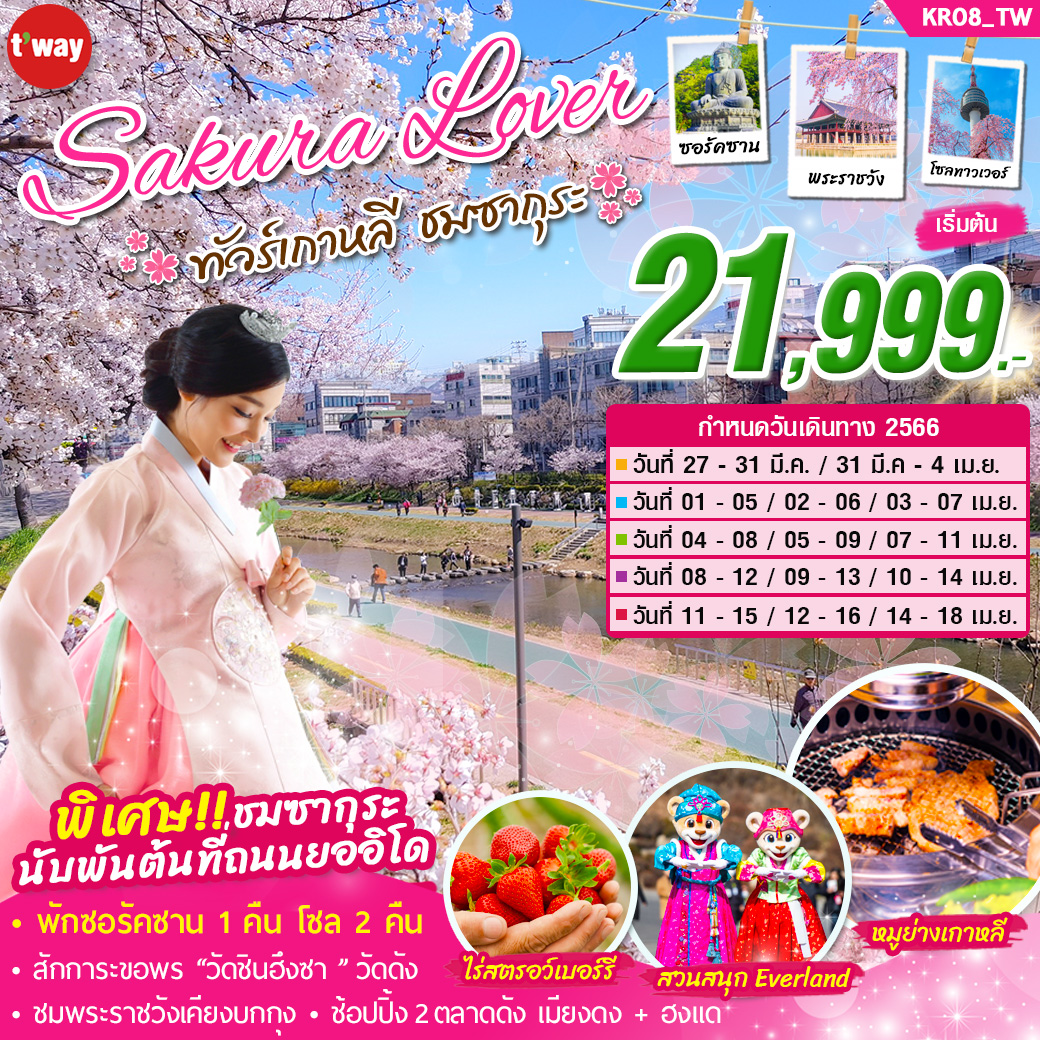 KR08_TW : Sakura Lover ทัวร์เกาหลี ชมซากุระ